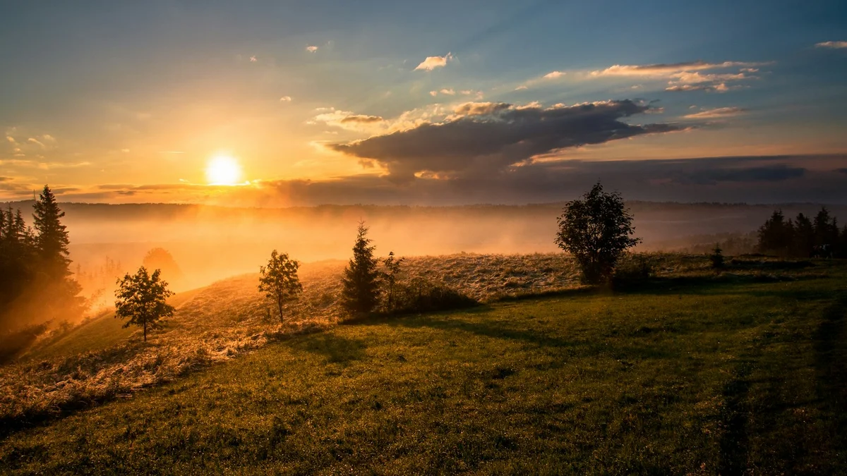 A golden sunrise over a misty green meadow with scattered trees, warm fog rolling across the field - a Quiet Core Reset guide to 7 Boundaries to Set at Work.