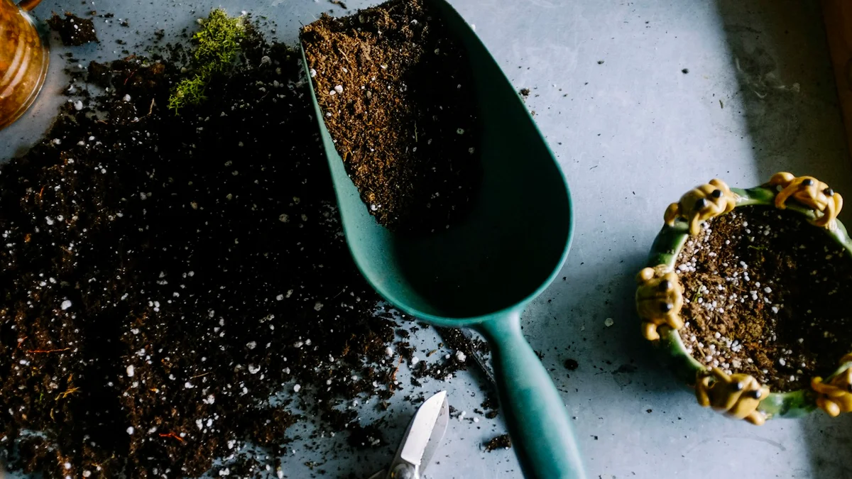 A green scoop filling a small pot with dark potting soil, gardening supplies - a Quiet Core Reset guide to How to Build a Routine When You Have No Energy.