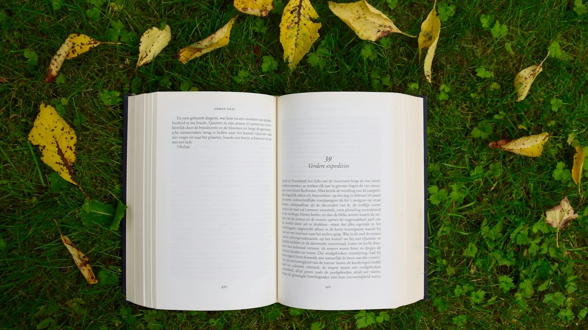 An open book lying on green grass surrounded by fallen autumn leaves - a Quiet Core Reset guide to Energy Management Explained Simply.
