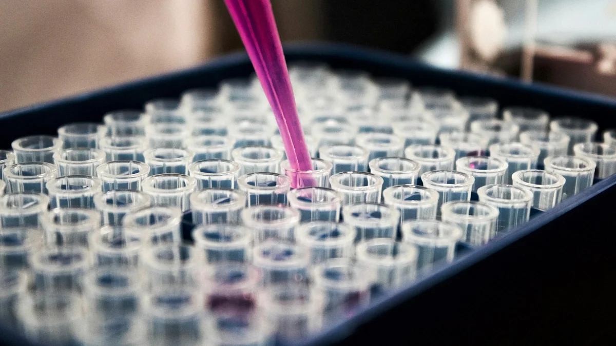 A laboratory pipette dispensing pink liquid into a tray of test wells - a Quiet Core Reset guide to What Science Says About Managing Energy.