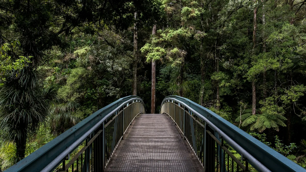 A metal footbridge leading into a lush green forest, calm and shaded - a Quiet Core Reset guide to Energy Well.