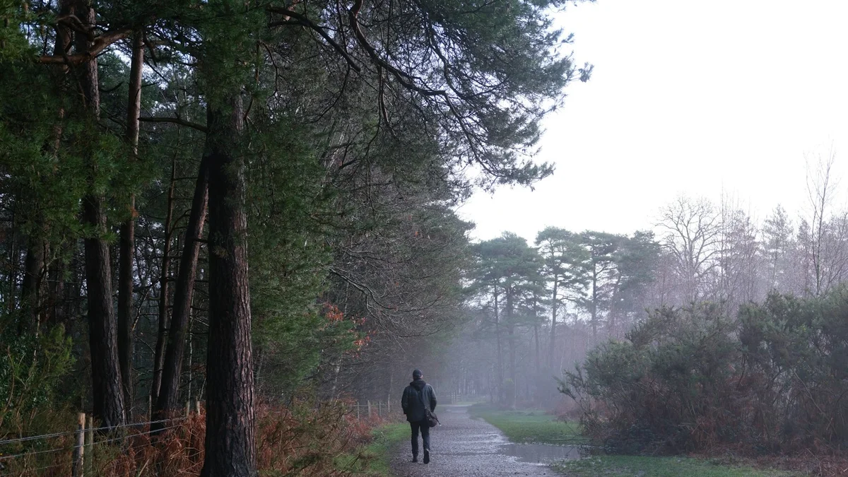 A person walking a misty forest path toward clearing light - a Quiet Core Reset guide to How I Finally Quieted My Inner Critic (Not With Willpower).