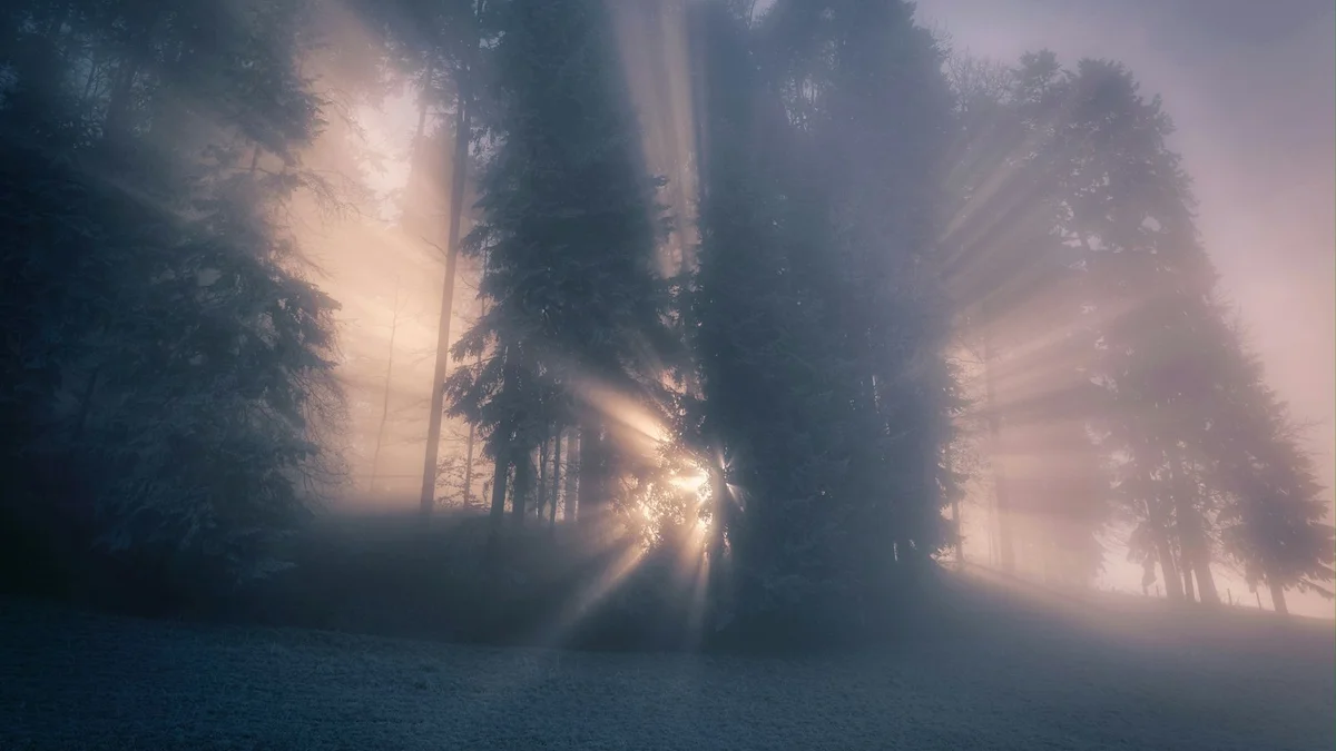 Golden sunbeams pouring through a misty forest - a Quiet Core Reset guide to 6 Inner Critic Myths That Keep You Stuck (and Kinder Truths).