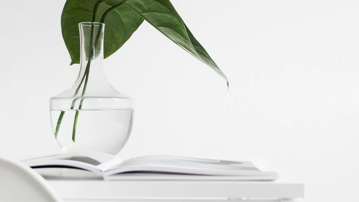 A minimal still life of a plant in glass and an open book in soft light - a Quiet Core Reset guide to What Science Says About the Inner Critic and Self-Compassion.