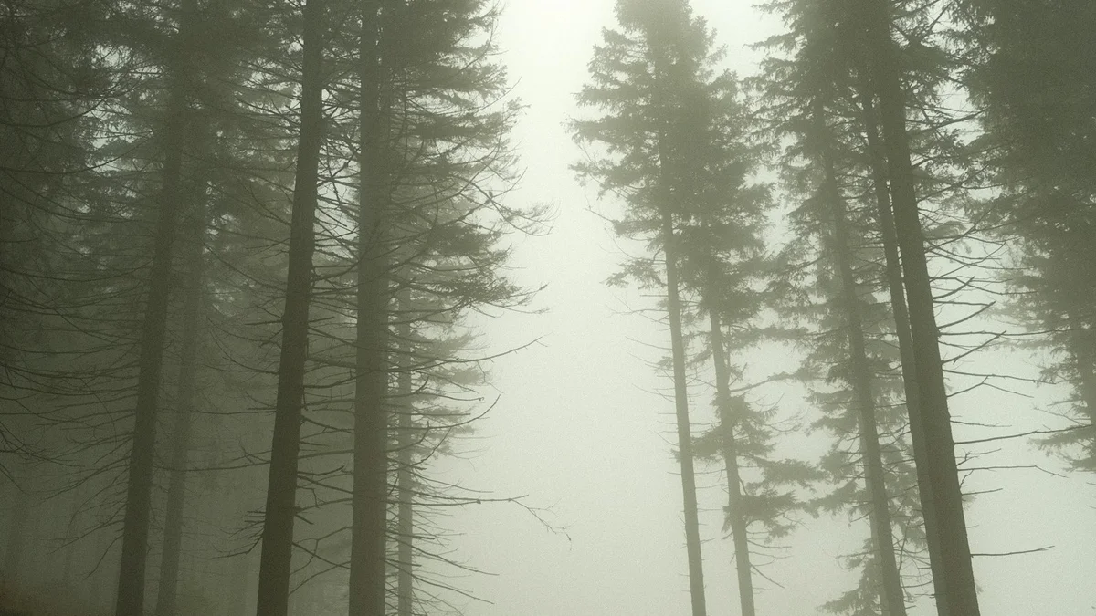 A quiet footpath leading through a misty evergreen forest toward soft light - a Quiet Core Reset guide to 9 Signs Your Inner Critic Is Running Your Life.