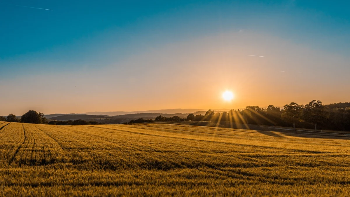 A golden sunset over a wheat field with visible sun rays, warm and open - a Quiet Core Reset guide to How Joy Disappears Without You Noticing.
