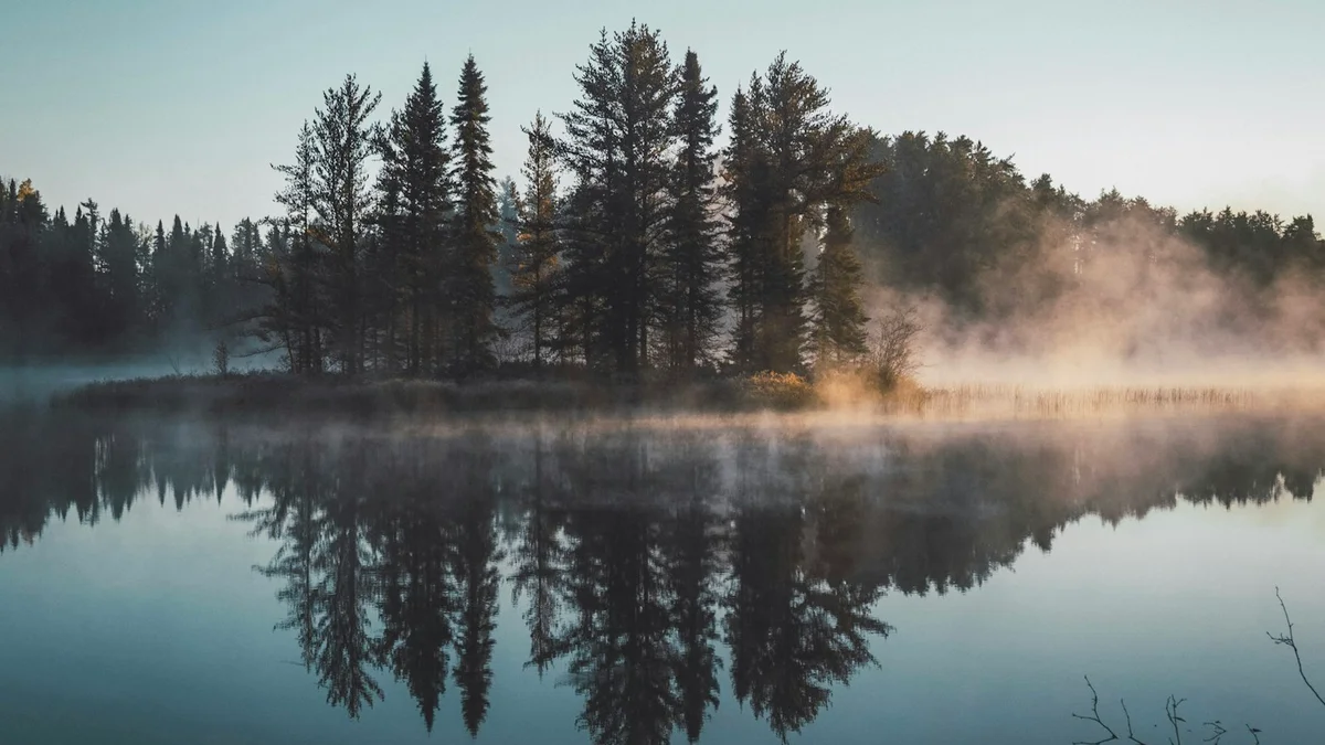 A misty forest lake at dawn with tall pine trees reflected in calm water and soft fog - a Quiet Core Reset guide to How to Create a Phone-Free Pocket.