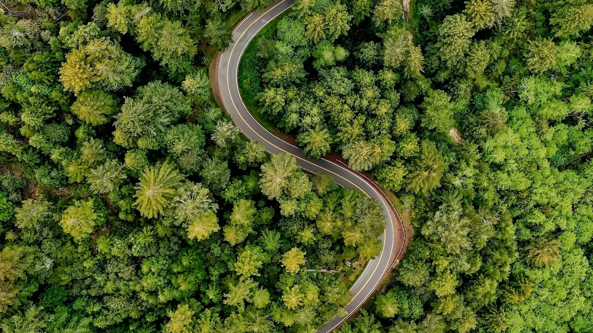 A quiet two-lane road winding through dense green forest, seen from above - a Quiet Core Reset guide to Why ‘Just Push Through’ Fails When the Pace Is the Problem.