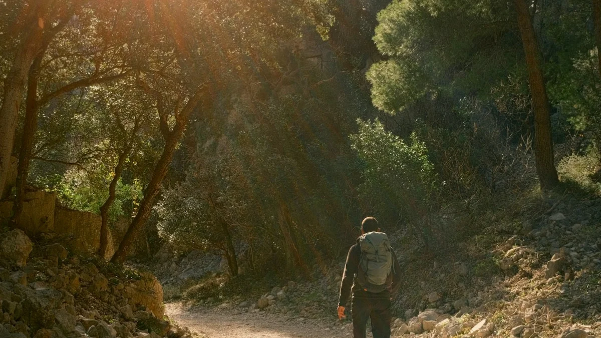 A person walking a sunlit forest path, leaving the noise behind - a Quiet Core Reset guide to How I Quit the Grind.