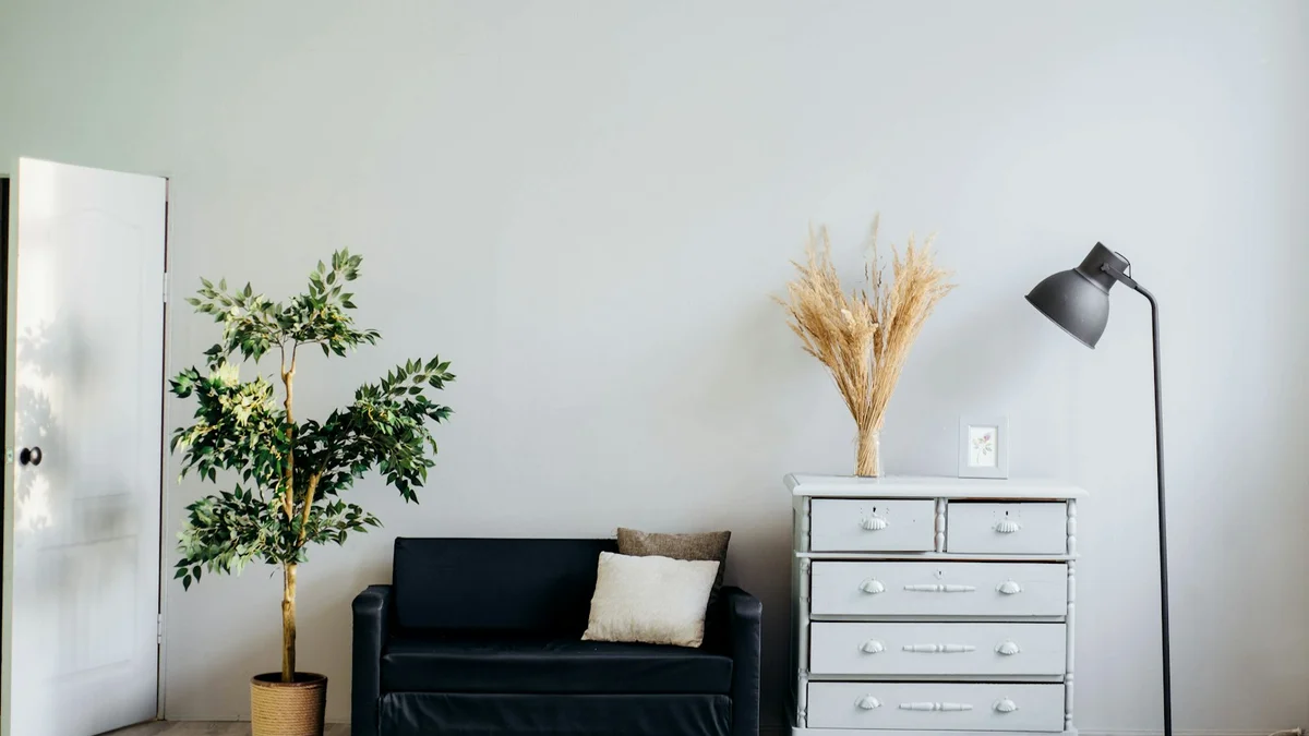 A minimal room with a black sofa, a plant, a white dresser and a floor lamp - a Quiet Core Reset guide to Common Mistakes When Trying to Enter Rest & Digest.