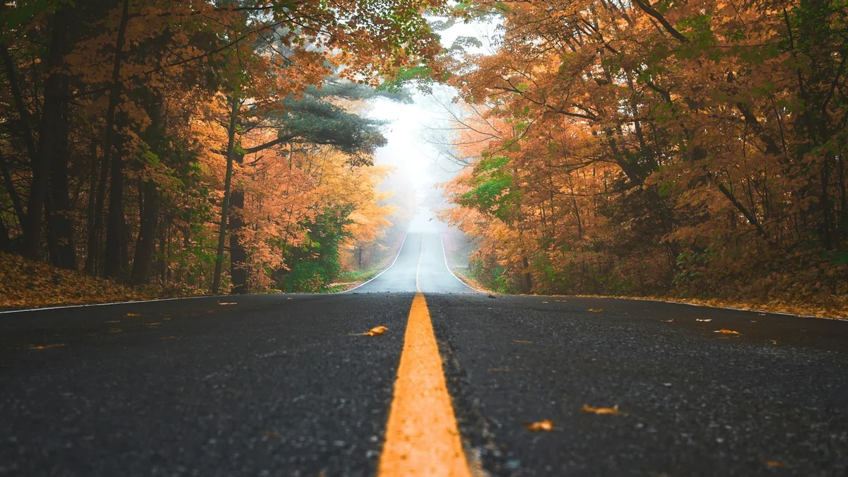 An autumn road lined with orange and green trees leading into fog, with a yellow center line - a Quiet Core Reset guide to Why Rest Feels Unsafe.