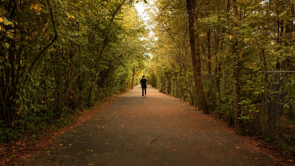 A single person walking at an unhurried pace down a leafy green path between tall trees - a Quiet Core Reset guide to Rush vs. Intention.
