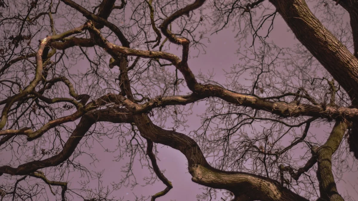 Gnarled tree branches spreading like neural pathways across a dusky mauve sky - a Quiet Core Reset guide to What Science Says About Saying No.