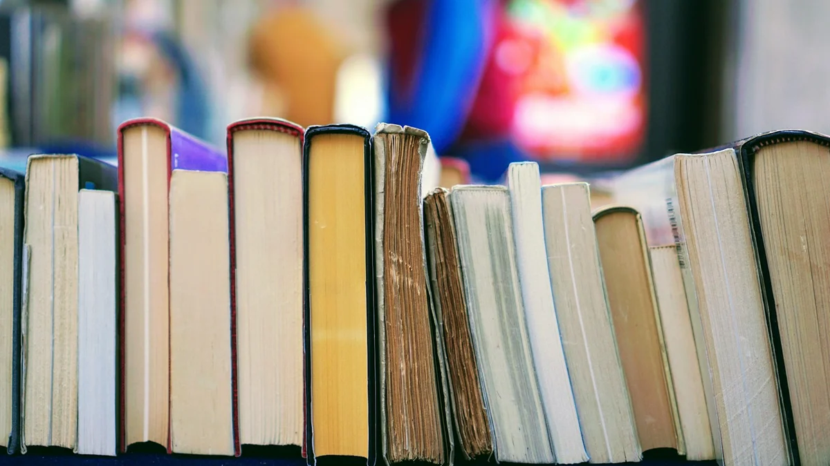 A row of well-read books standing together in soft light - a Quiet Core Reset guide to Sleep Recovery.