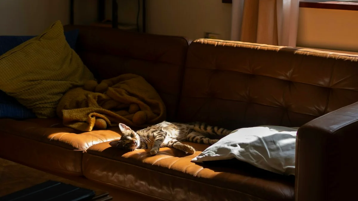 A tabby cat sprawled asleep on a sunlit leather couch, completely at ease - a Quiet Core Reset guide to Survival Mode vs. Rest & Digest.